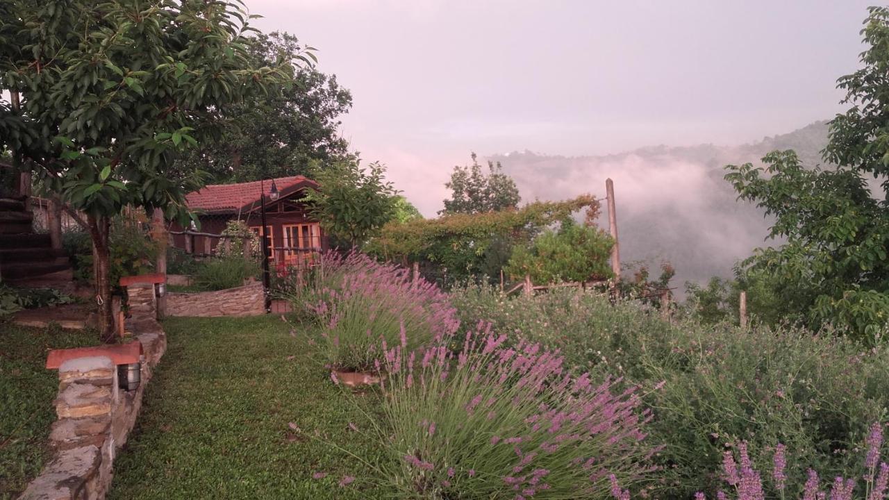 Magiche Langhe Bed & Breakfast Paroldo Dış mekan fotoğraf